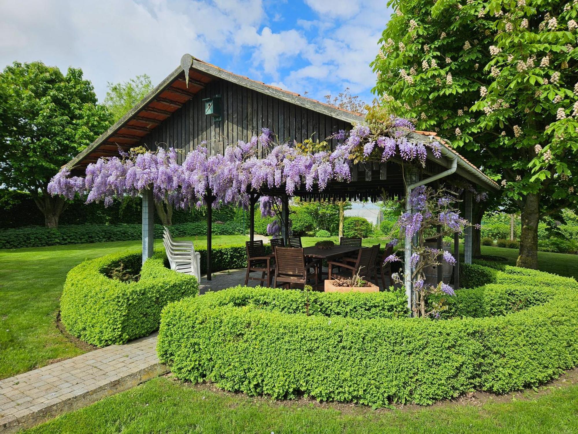 'T Hooghe Licht Bed & Breakfast ゾンネベーケ エクステリア 写真